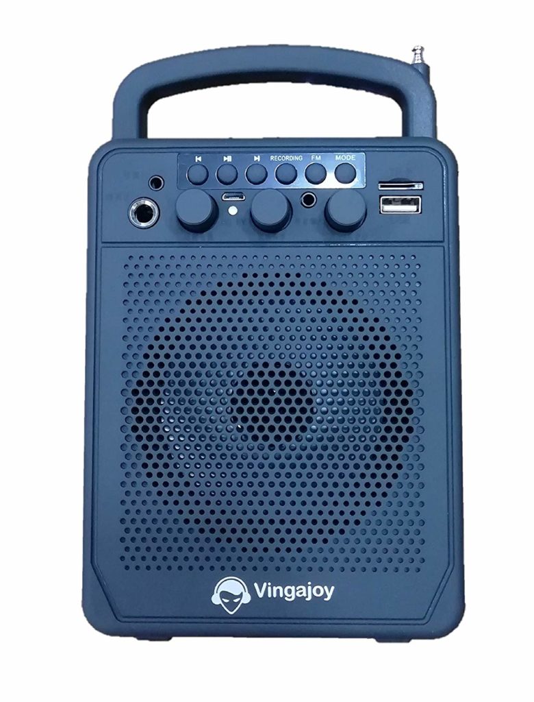 VingaJoy SP-40 Acoustic Bass Wireless Speaker 