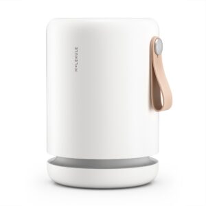 Molekule Air Mini+